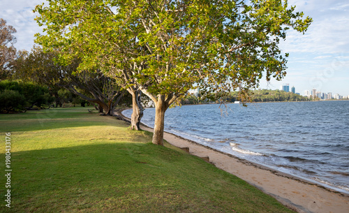 Cuadro en lienzo Leafy trees on grassy shoreline with sandy beach beside Swan River in Matilda Ba