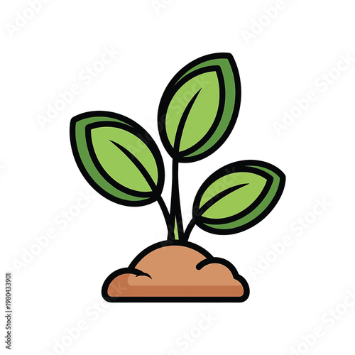 Small green plant growing in soil 1.