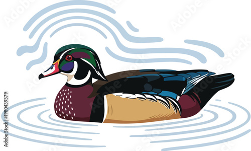 A colorful illustration of a korea model duck swimming gracefully on the water with artistic ripples around it