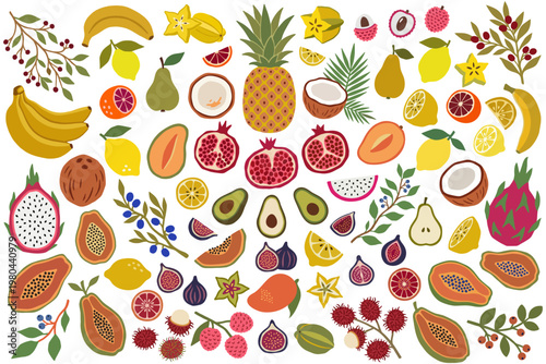 Exotic tropical fruits collection with leaves – pineapple, papaya, dragon fruit, coconut, banana, citrus and berries, hand drawn vector illustration.