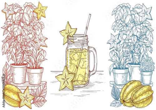 Healthy Tropical Fruit Drinks and Plants Vector Illustration