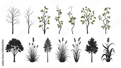 Diverse collection of plant and tree silhouettes alongside detailed illustrations offers various options for nature design work.