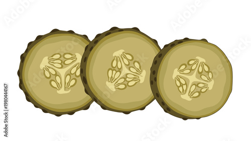 Three fresh slices of green cucumber or pickle arranged together showing the seeds and skin texture on a white background.