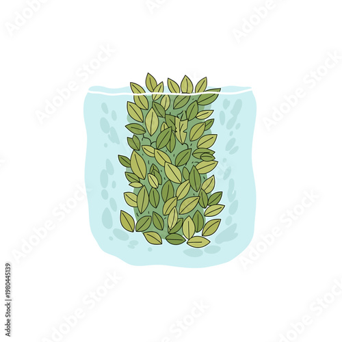 Green leaves in ice block vector illustration
