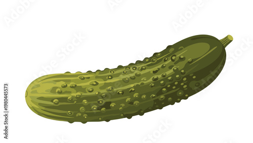 Single realistic green pickled cucumber with small bumps and a short stem shown on a clean and clear white background.