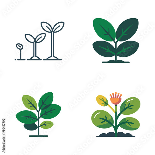 Botanical plant icons collection, home gardening poster, nursery sale branding, landscape design session, eco wellness event, leaf shapes vector illustration