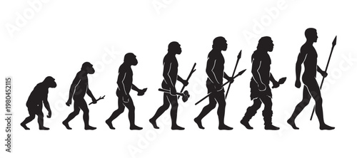 seven stages of human evolution silhouette