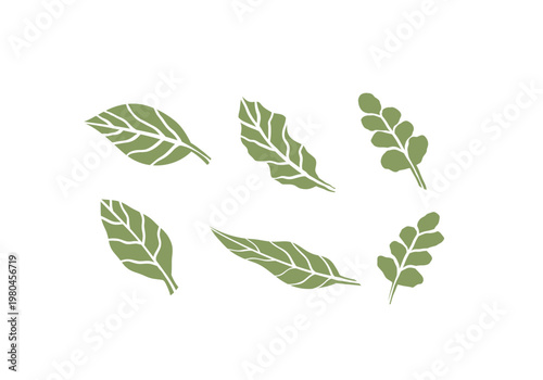 generic botanical green tree leaf illustration icon vector collection