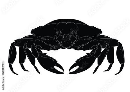 crab silhouette2