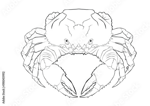crab lineart1