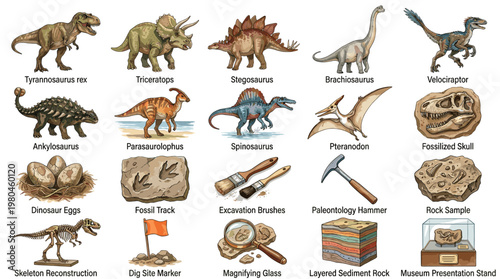 Educational dinosaur collection with labeled prehistoric species fossils eggs bones tools and excavation objects for science and museum design
