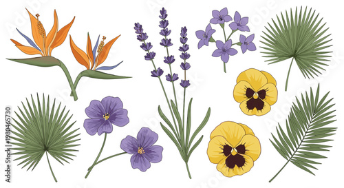 Diverse botanical set featuring bird of paradise, lavender, pansies, and palm leaves for exotic and garden floral arrangements.