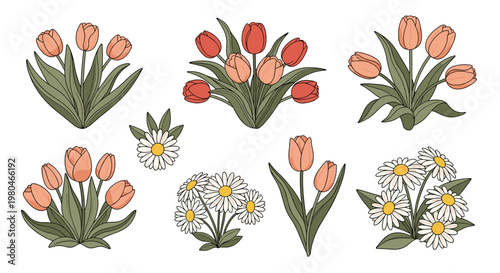 Variety of hand drawn floral arrangements featuring bouquets of orange and red tulips along with clusters of white daisies.