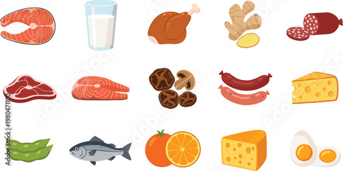Protein Rich Food Illustration Set Featuring Meat Fish Eggs Cheese Sausage and Beans for Nutrition Diet and Healthy Eating Concept Isolated on White Background