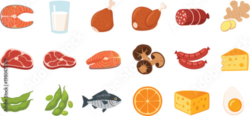 Balanced Diet Food Illustration Set Featuring Meat Fish Milk Cheese Eggs Vegetables Fruits and Protein Rich Ingredients in Flat Style Isolated on White Background