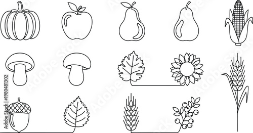 Outline black and white vector icons of harvest fruits vegetables autumn natural elements vegetables mushroom