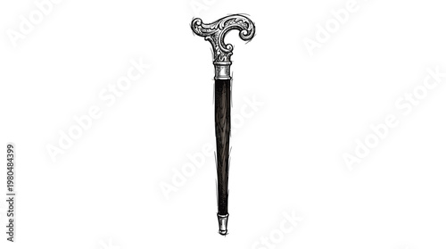 Elegant Vintage Walking Cane with Ornate Handle