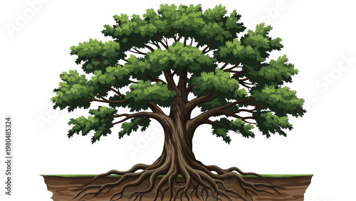 Majestic and ancient oak tree with an impressive, robust trunk and sprawling, exposed roots, symbolizing strength and longevity.