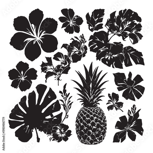 Black  silhouette collection with tropical fruit decorative icon and geometric vector designs.