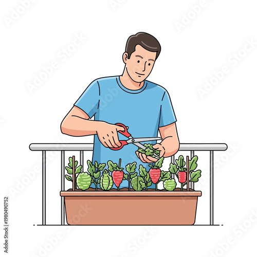 Vector illustration of a man in a blue shirt trimming small vegetable plants in a long planter box on a balcony using garden shears. Minimalist line art depicting an urban gardening hobby.
