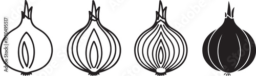 Onion cut illustration with cross sections showing inner layers in outline and silhouette styles vector line art drawing graphic.