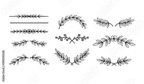 Hand drawn floral laurel text dividers set wedding decorative leaves branches ornament vector collection