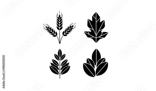 Geometric botanical silhouettes wheat sprigs leaves plant vector nature icon collection