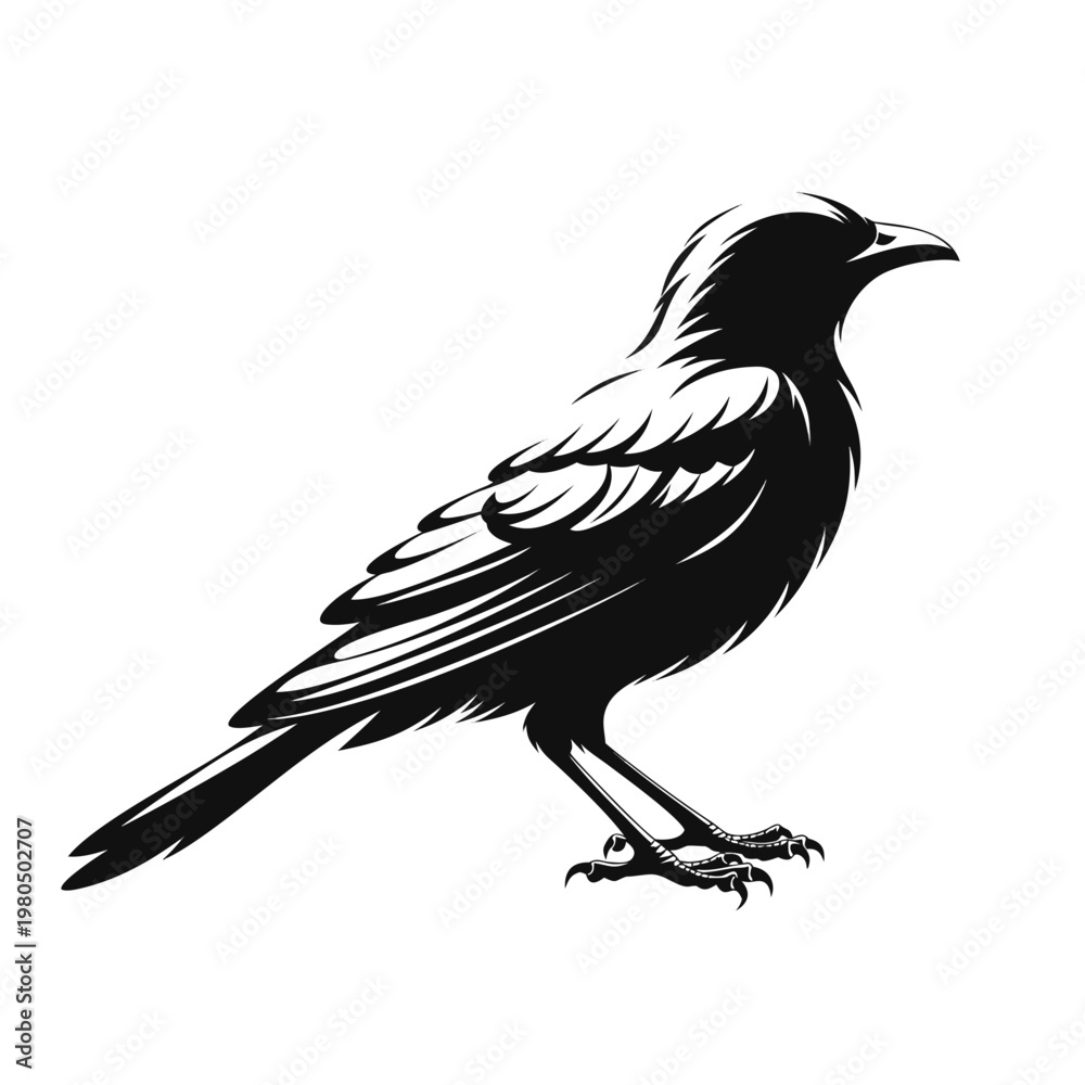 Obraz premium Black bird, crow, raven silhouette, vector illustration, animal icon