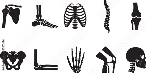 skeletal system icon set bones joints anatomy silhouette collection vector art illustration