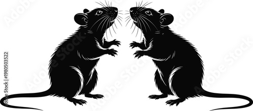 Two Black Rat Silhouettes Facing Each Other Standing on Hind Legs Vector Illustration Isolated on White Background for Pest Control Wildlife and Rodent Design