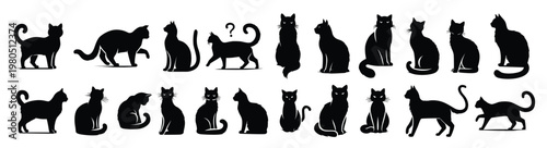 Cat gestures illustration. Black cat isolated on white background. Pet and animal symbol. Vector Eps 10