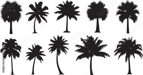 A collection of black palm tree silhouettes and tropical plant shapes isolated on a white background for summer and vacation designs.