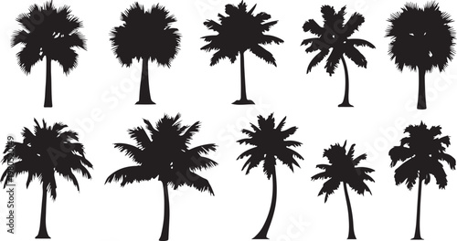 A collection of black palm tree silhouettes and tropical plant shapes isolated on a white background for summer and vacation designs.