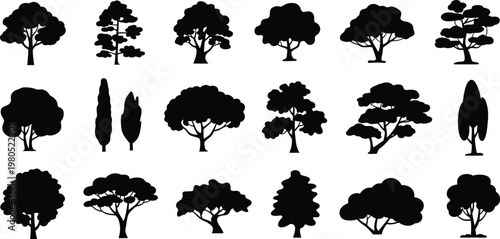 Collection of black tree silhouettes with varied shapes and sizes  nature