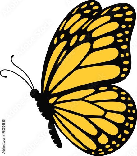 Yellow and black monarch butterfly insect