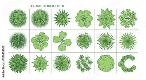 Top down view set of various trees and shrubs for landscape architecture and site planning in green flat vector style