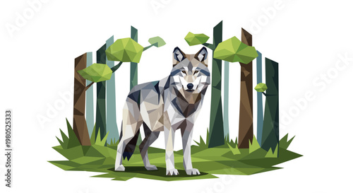 Gray wolf standing in forest.