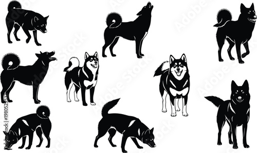 Shiba Inu dog silhouettes and detailed vector poses set isolated on white background, Japanese breed collection showing standing, walking, sniffing and howling canine actions