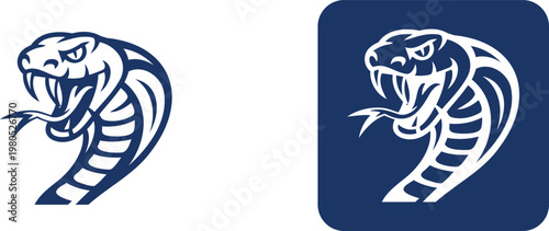 Blue and white cobra head snake