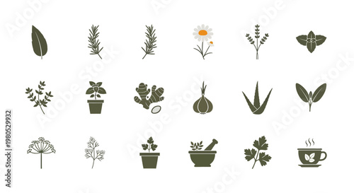 Herbal Medicine Icons: Plants, Spices, and Remedies Set