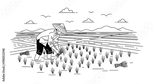 Traditional Asian Farmer Planting Rice in Paddy Field Vector Illustration Design