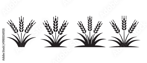Wheat and Grain Stalks Icon Set. Growing Cereal Crops Emblems for Agriculture and Food Design.