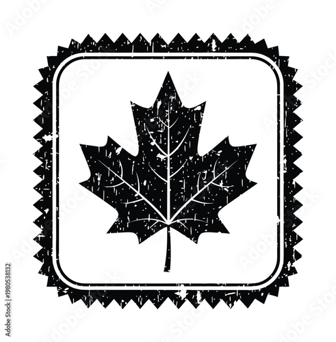 Vector of a black maple leaf enclosed in a vintage stamped frame
