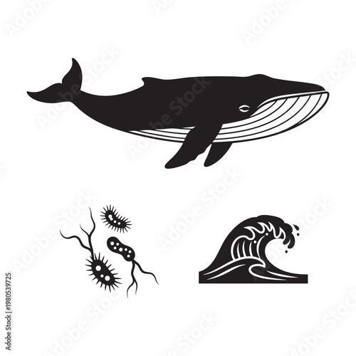 Marine life icons with blue whale plankton and ocean wave