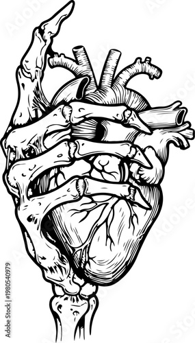 Skeleton Hand Holding Human Heart Anatomical Vector Illustration