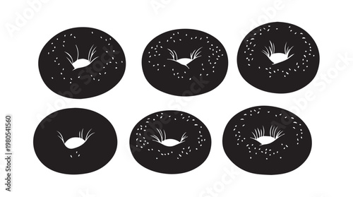 Six plain bagels with sesame seeds arranged in two rows against a white background