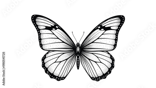 Highly detailed black and white stipple art illustration of a single butterfly with intricate wing patterns.