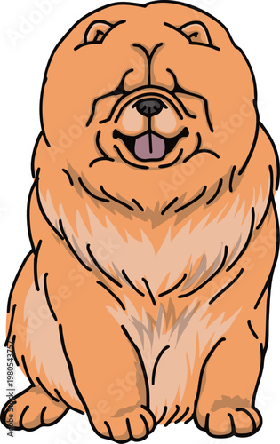 chow chow 犬のイラスト　チャウチャウ