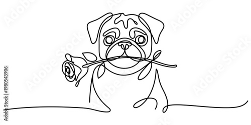 A single continuous line drawing of a cute pug dog holding a beautiful rose in its small mouth Vector, illustration