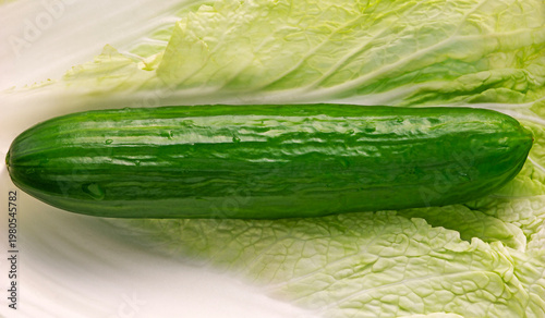 Green whole cucumber on Napa cabbage leaves